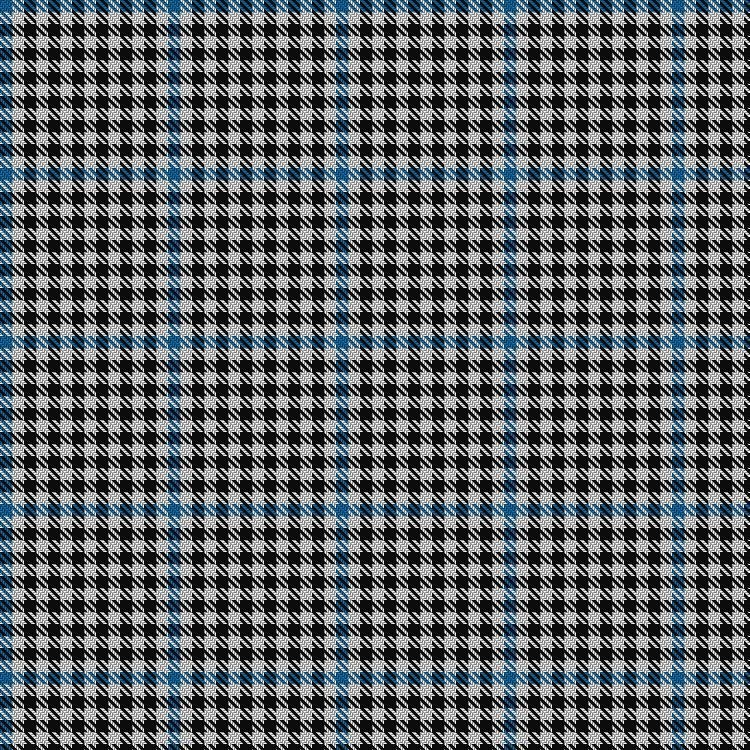 Haig Check tartan swatch