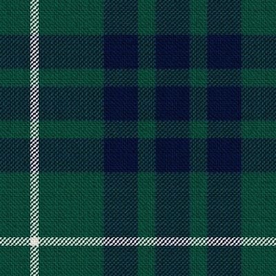 Hamilton Green Hunting Modern tartan swatch