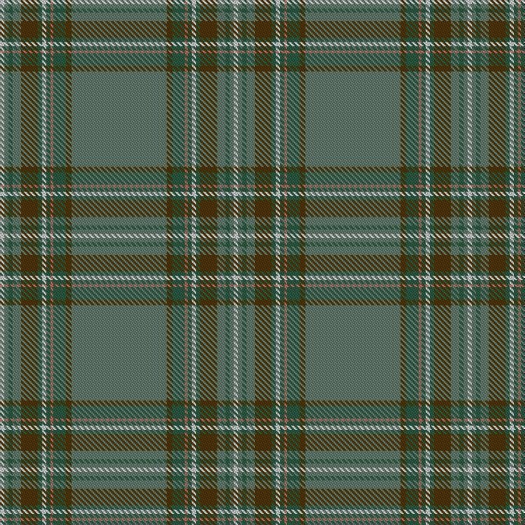 Kelly Dress tartan swatch