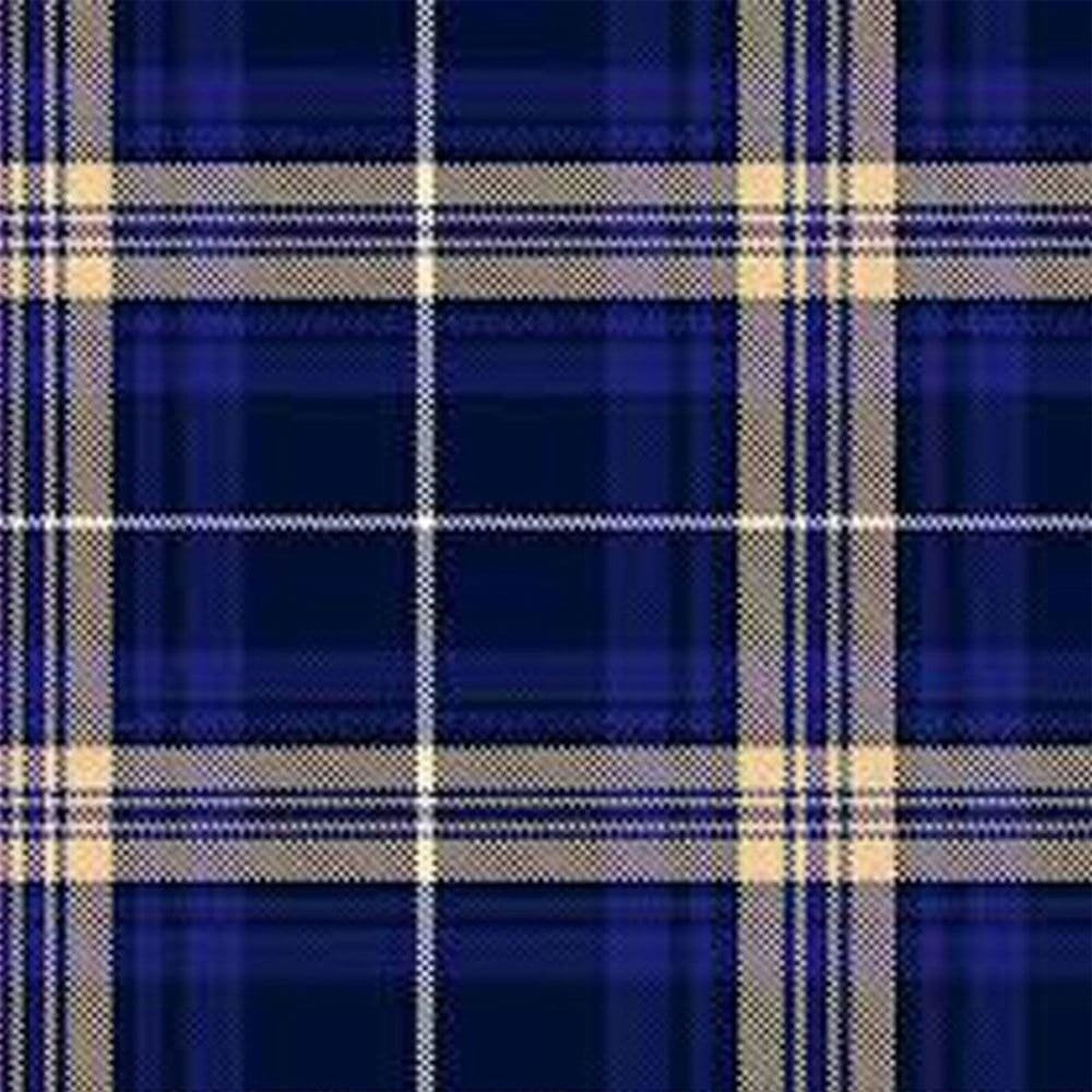 Rees (Preece) tartan swatch