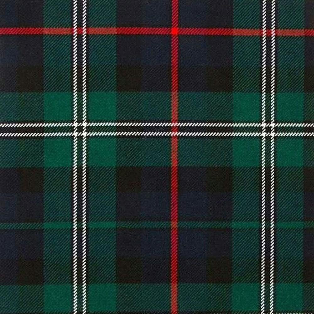 Stevenson Hunting Modern tartan swatch