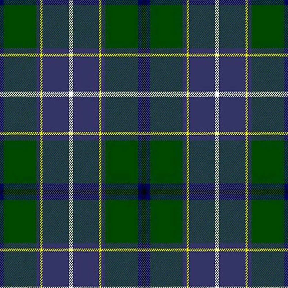 Wishart Hunting tartan swatch