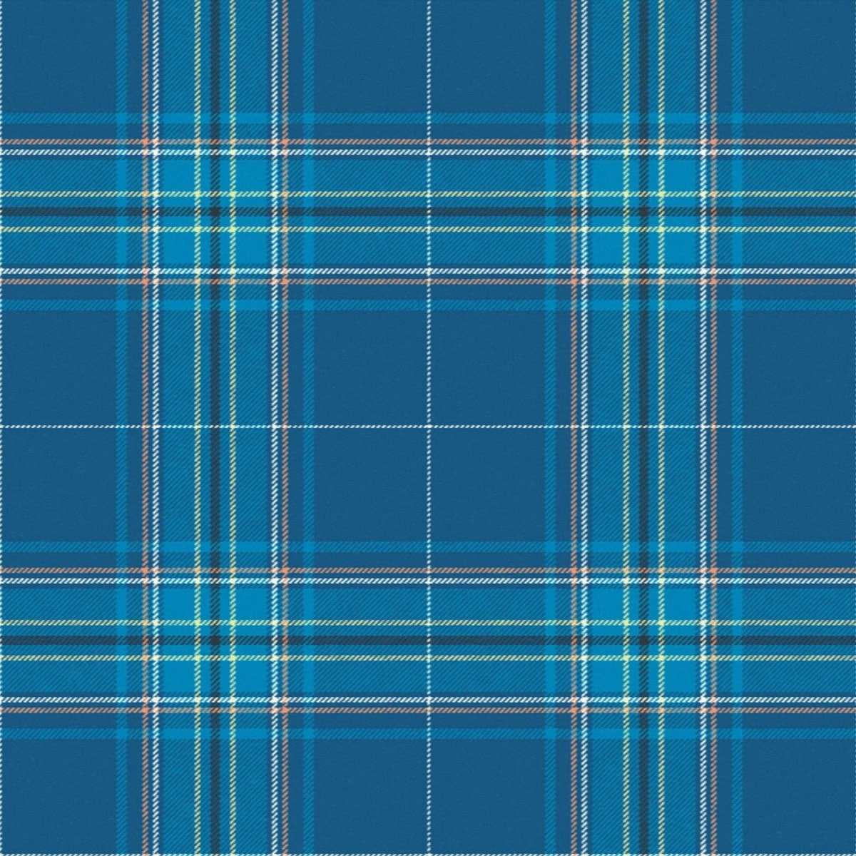 Albany tartan swatch