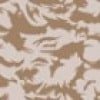Desert Camo