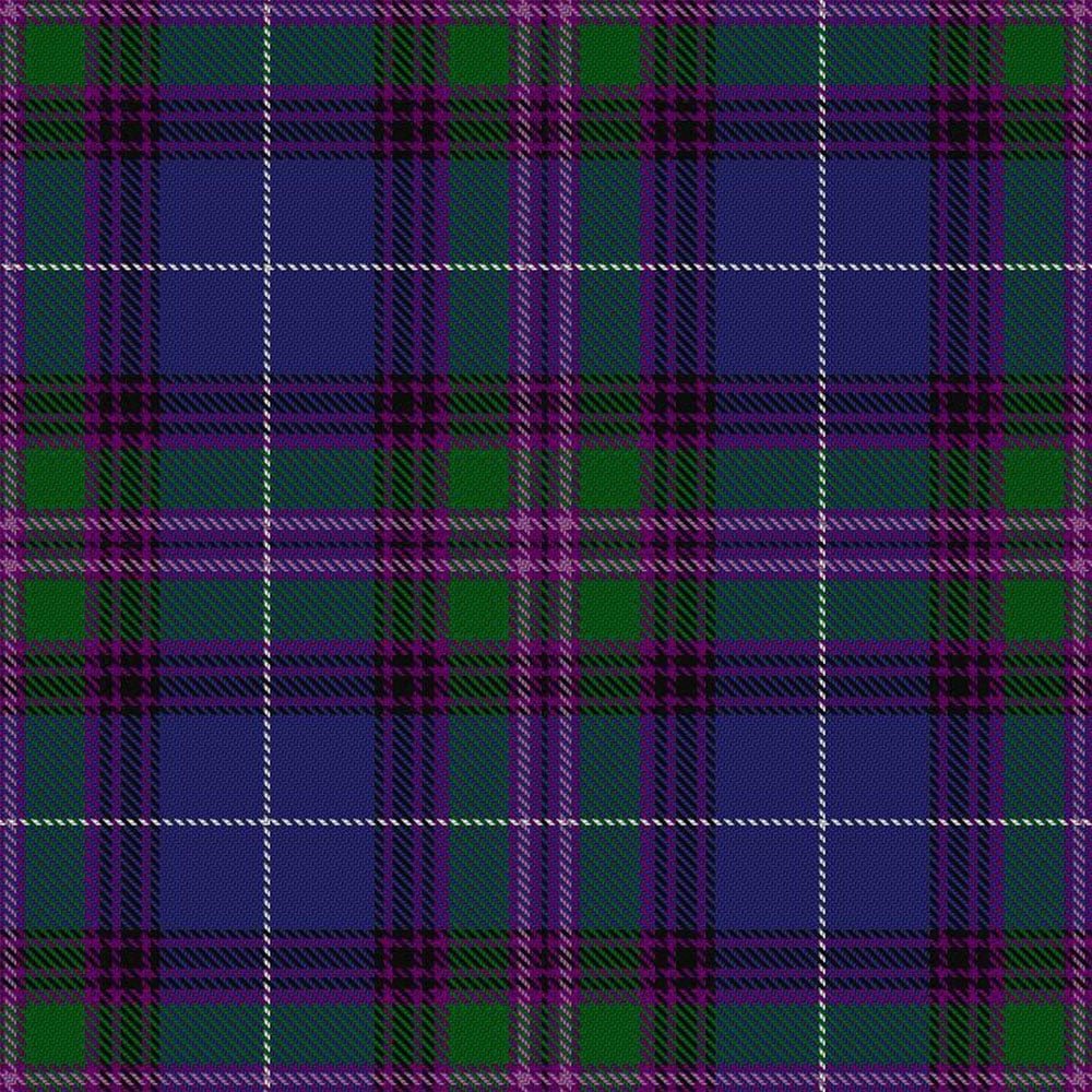 Spirit of Bannockburn tartan swatch