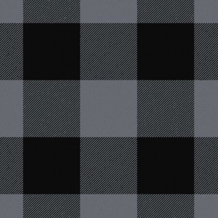 Border Shepherd's Check Black and Grey Ancient Tartan Kilt