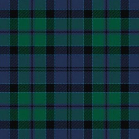 Hebridean Old District Tartan Kilt