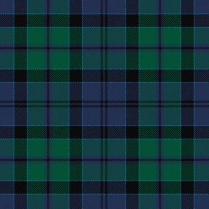 Hebridean Old District tartan swatch