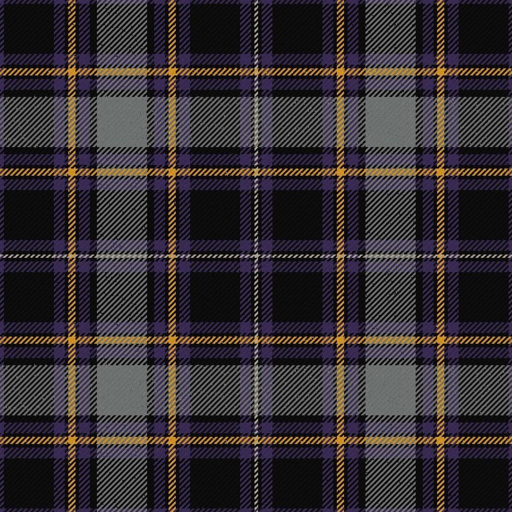 MacFly School Ancient tartan swatch