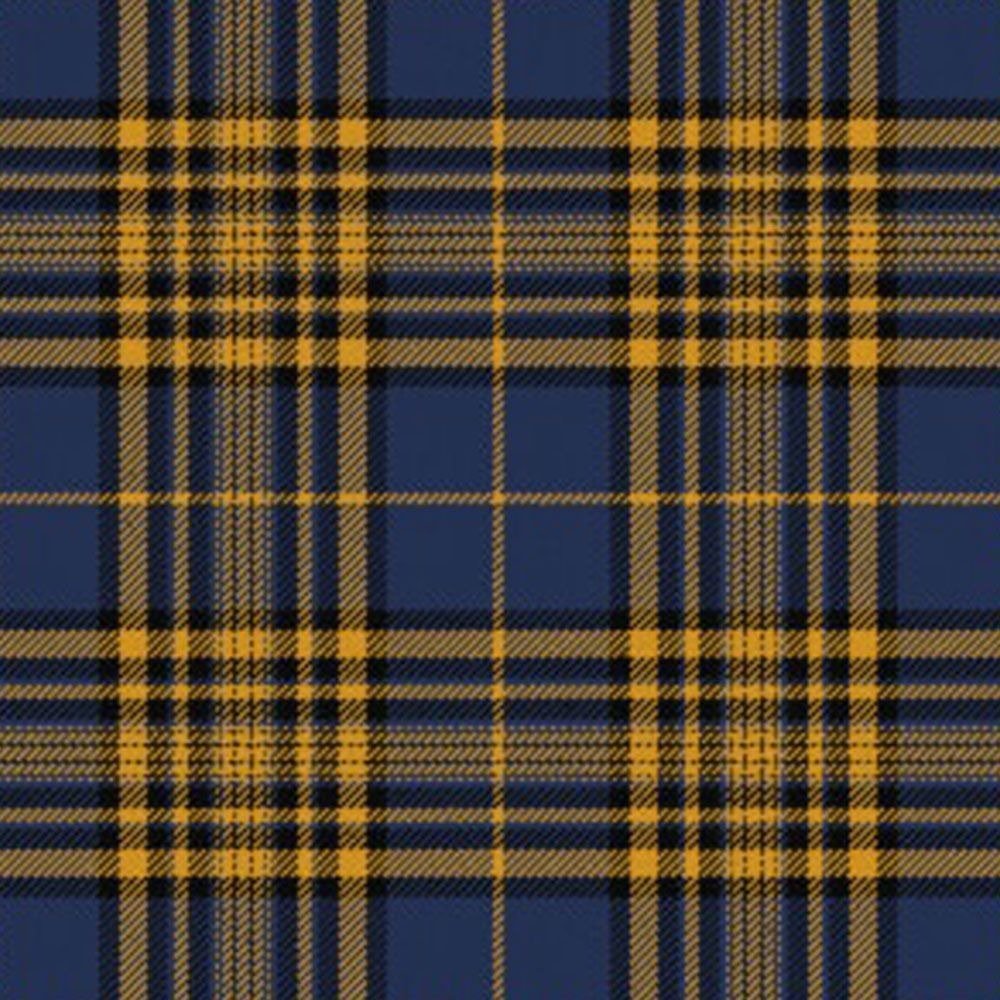 Agincourt tartan swatch